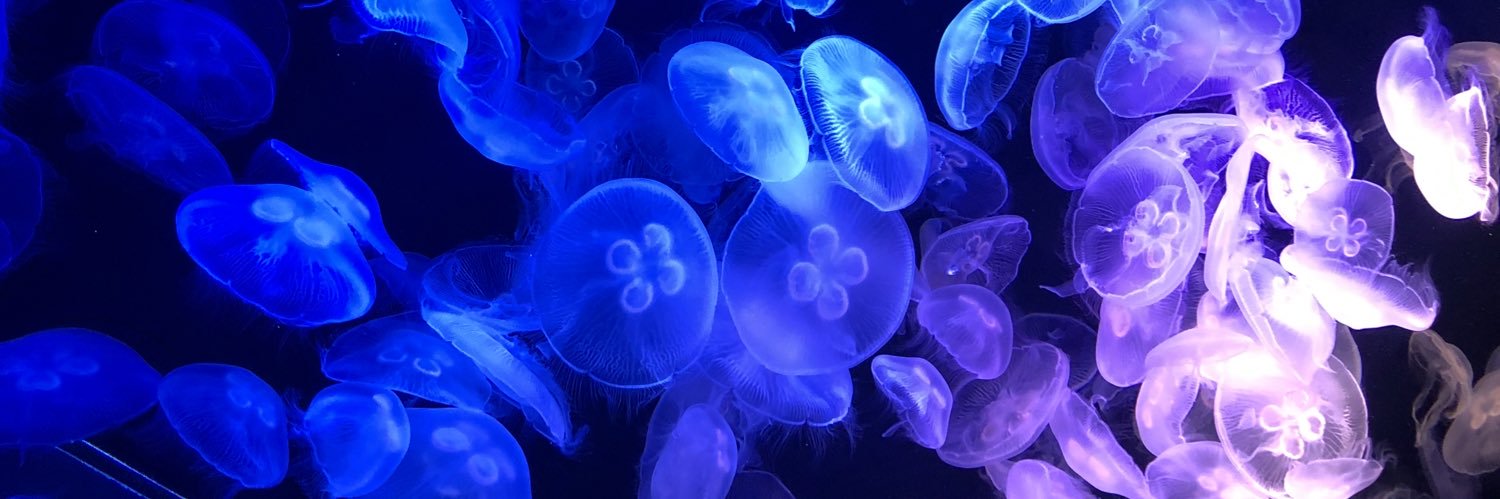 ひなまるギー banner