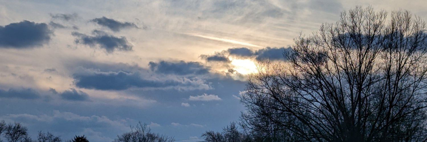 DillonRemi's profile banner image