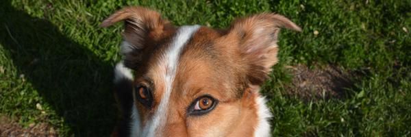 kmayer3459 Profile Banner