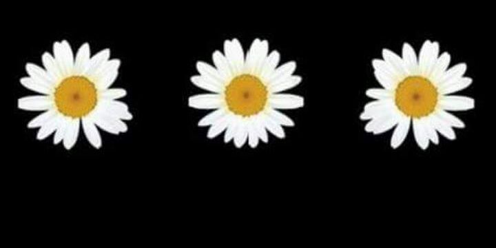 Gr12Melanie's profile banner image