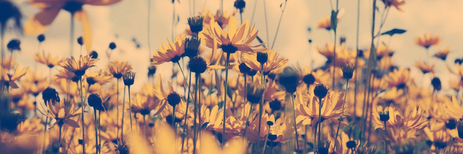 MsSewbans's profile banner image