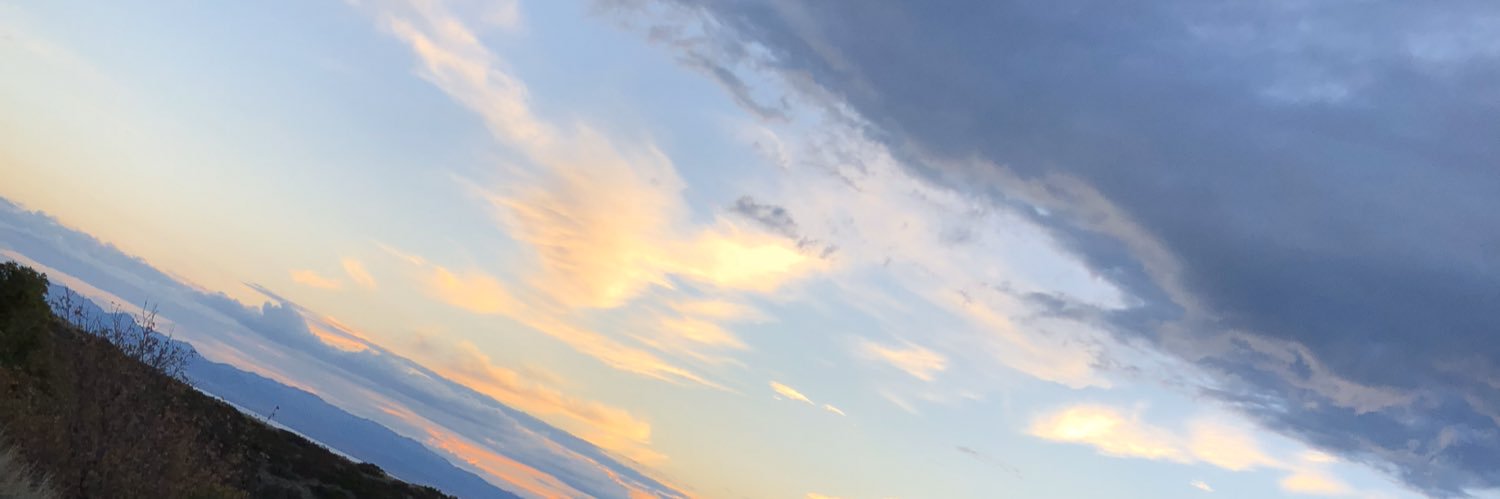 aleahknowles's profile banner image