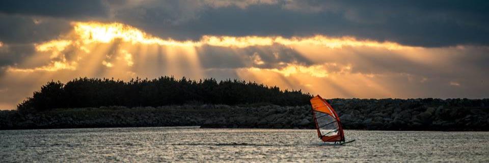 miriam rasmussen banner