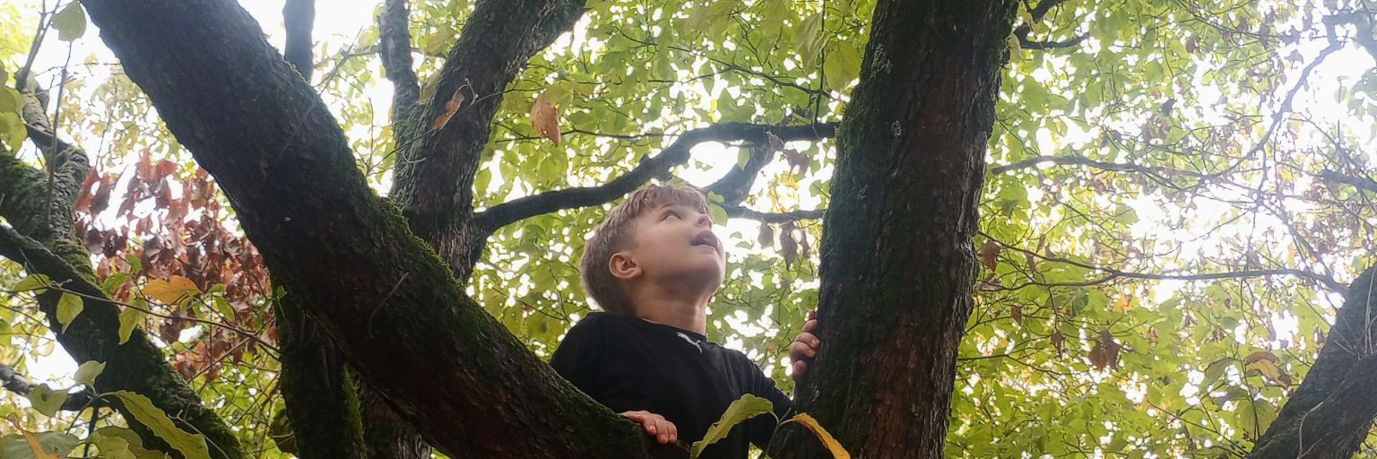 kaleywhit4's profile banner image