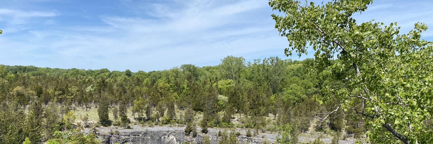 KaitlinECarson's profile banner image