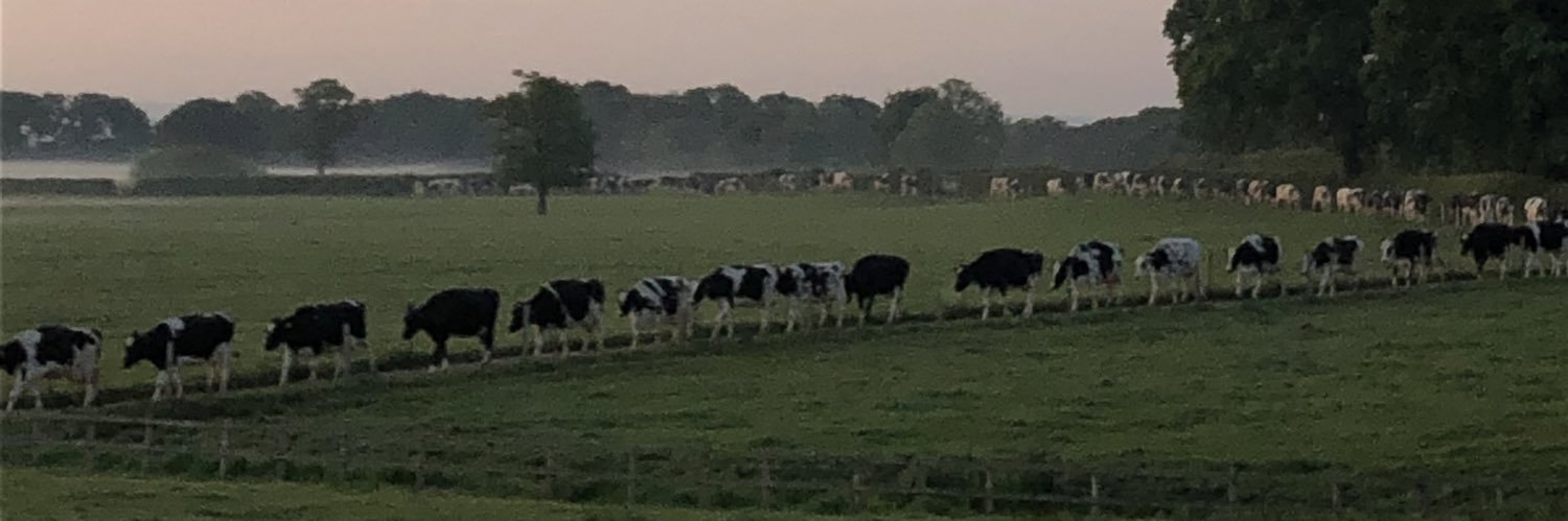 Adam Nicholas banner