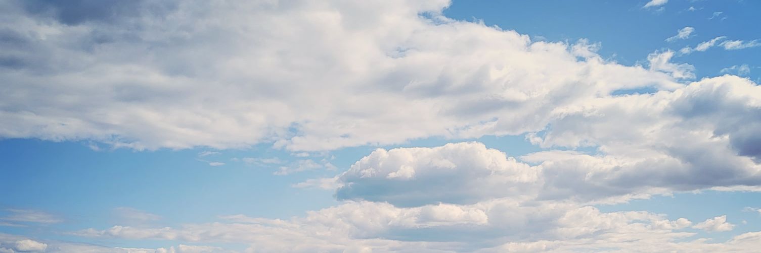 Minna Partanen banner