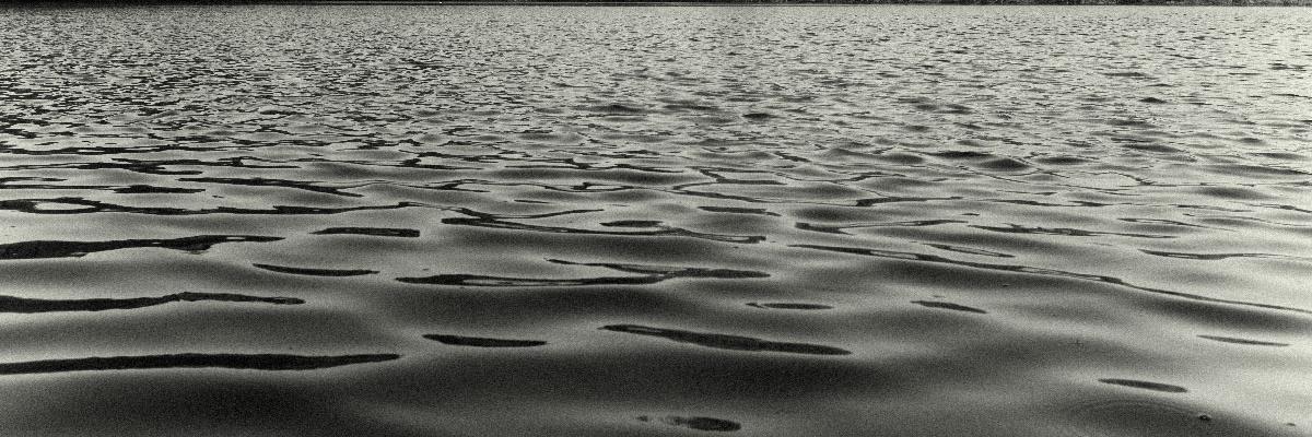 theducksnest's profile banner image