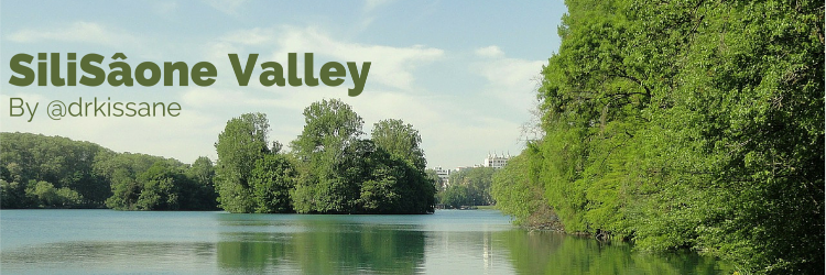 silisaonevalley's profile banner image