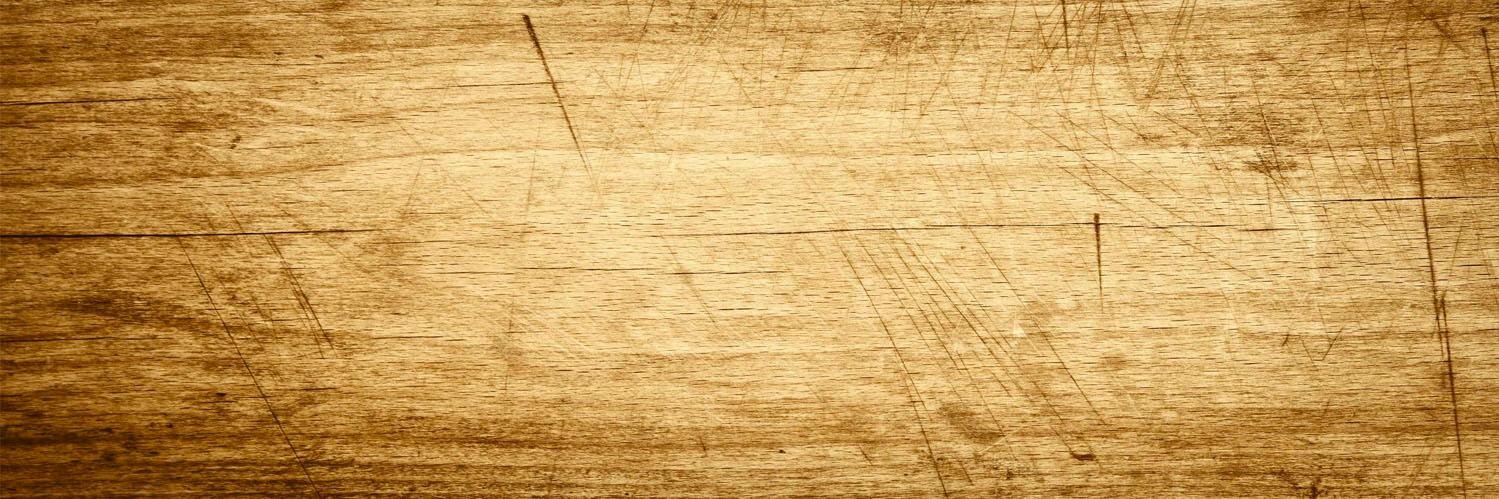 Mar©️ Plotkin banner