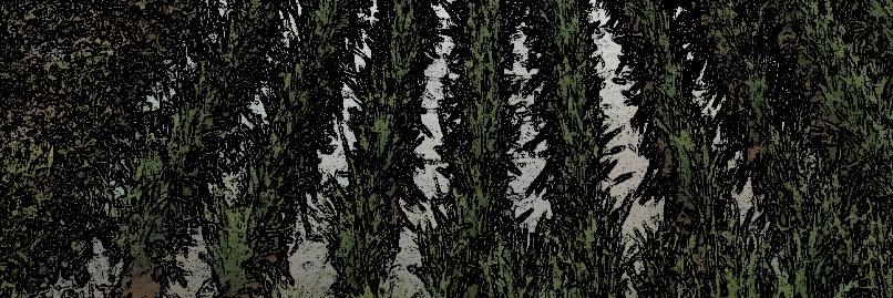 HiganMirage's profile banner image