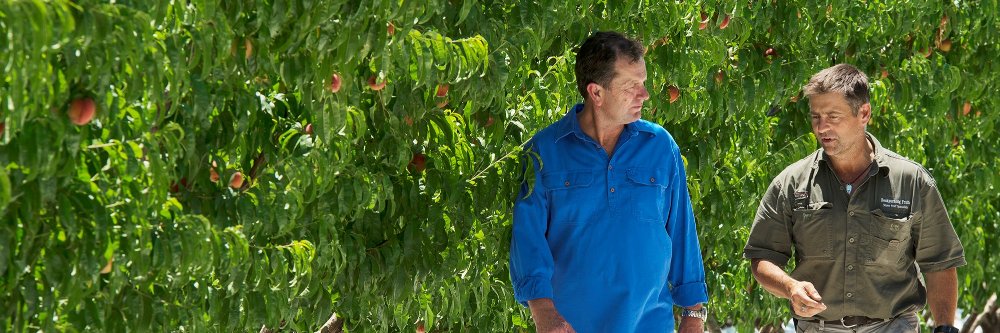 Tim Whetstone banner