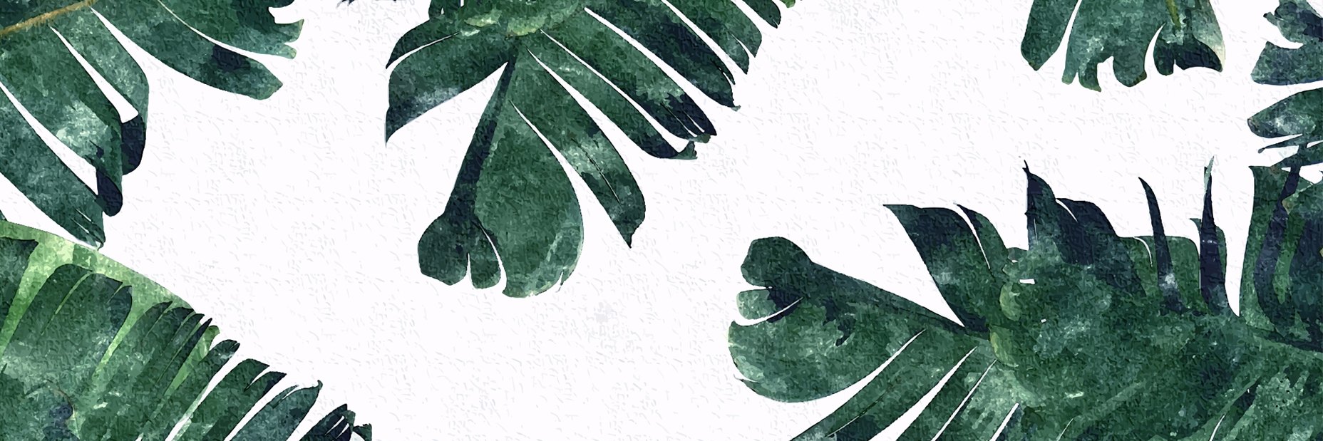 aishasini's profile banner image