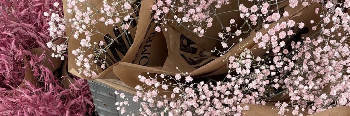 nipi_29's profile banner image