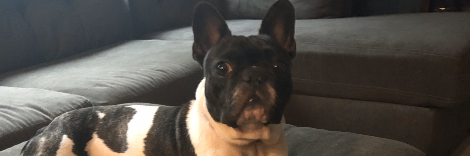 GjWilson4's profile banner image