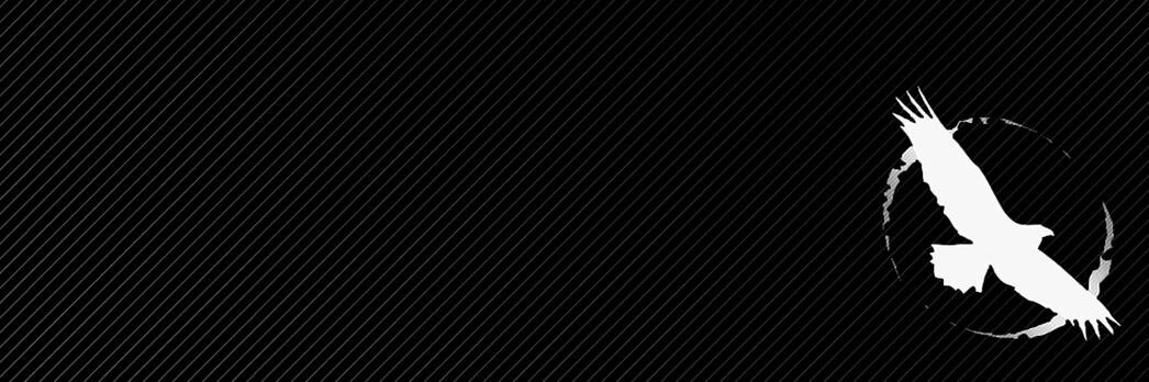 sorson's profile banner image