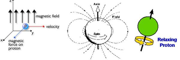 protoninabath Profile Banner