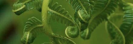 PDX_Collab's profile banner image