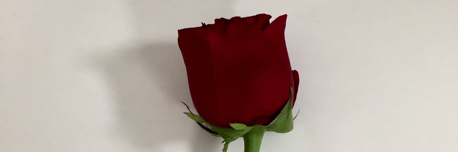EsmundoKate's profile banner image