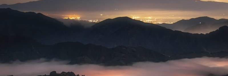 Kaptan Swing 🐬 banner