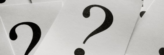 Laura Filardo-Llamas banner