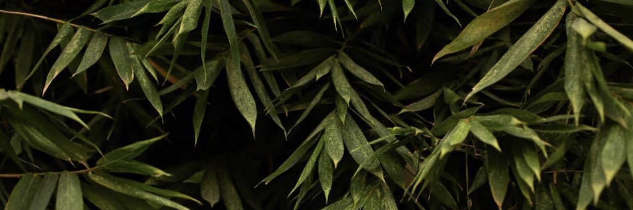 OmarquezMusic's profile banner image