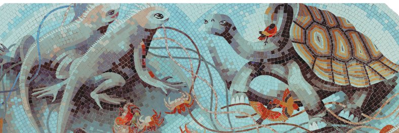 Biological Sciences | University of Edinburgh's banner