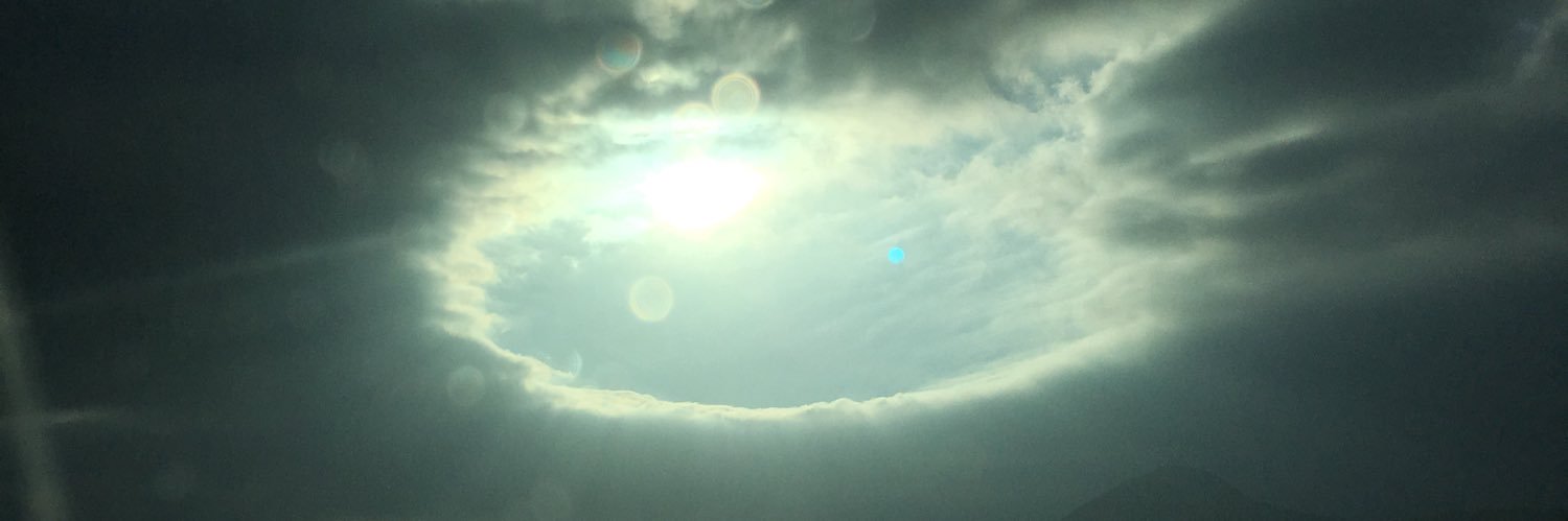 Carla Whitbread banner