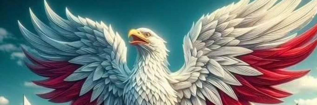 jonnypazd's profile banner image