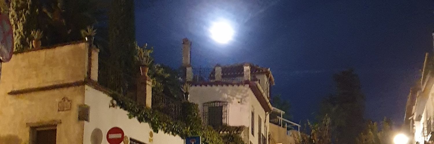 María Arnedo Campozo banner