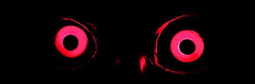 mr_ghalli's profile banner image