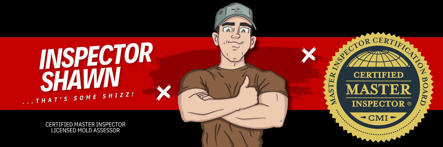ShawnScot's profile banner image