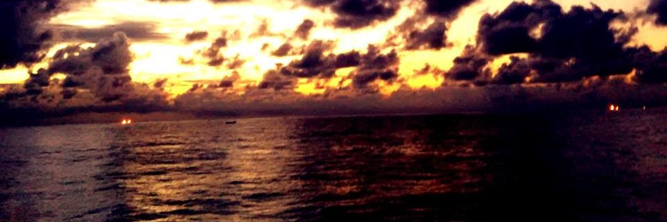 veektri1's profile banner image