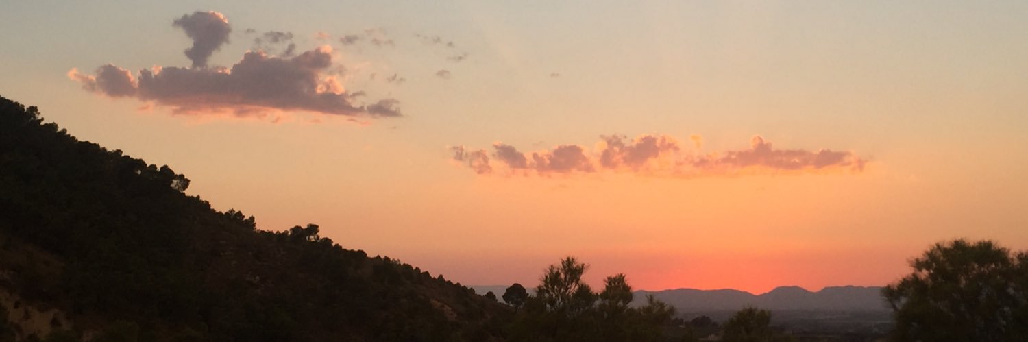 MariaDuchannes's profile banner image