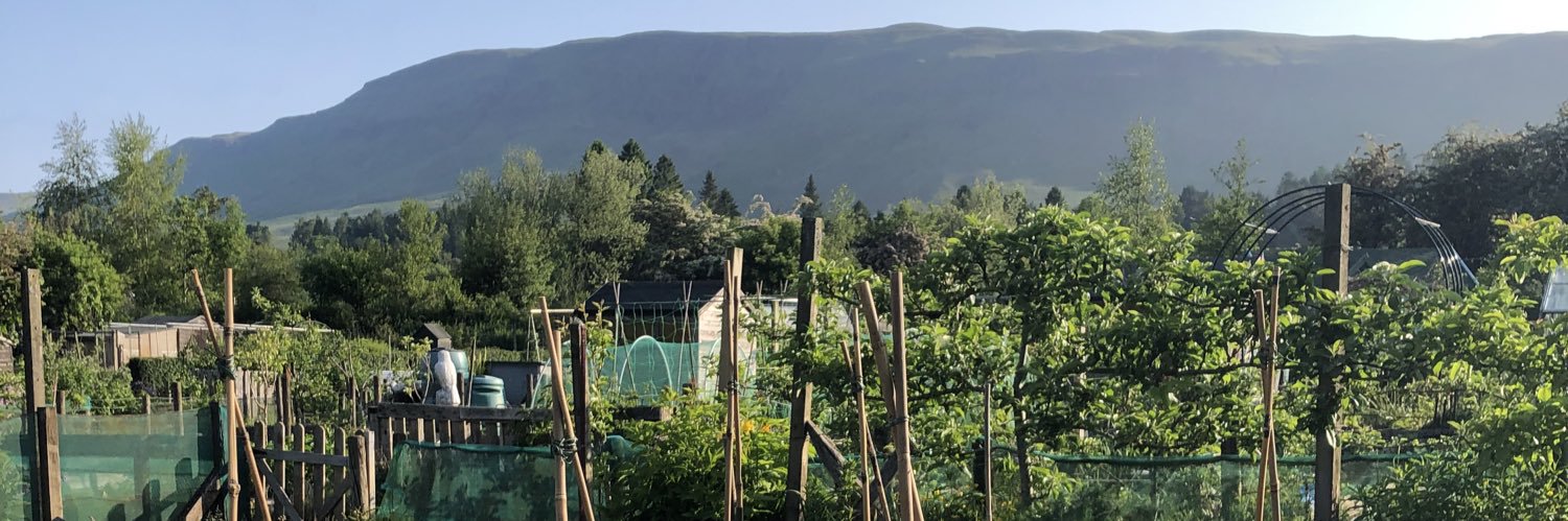 Ann McIntosh 💙🇺🇦 banner