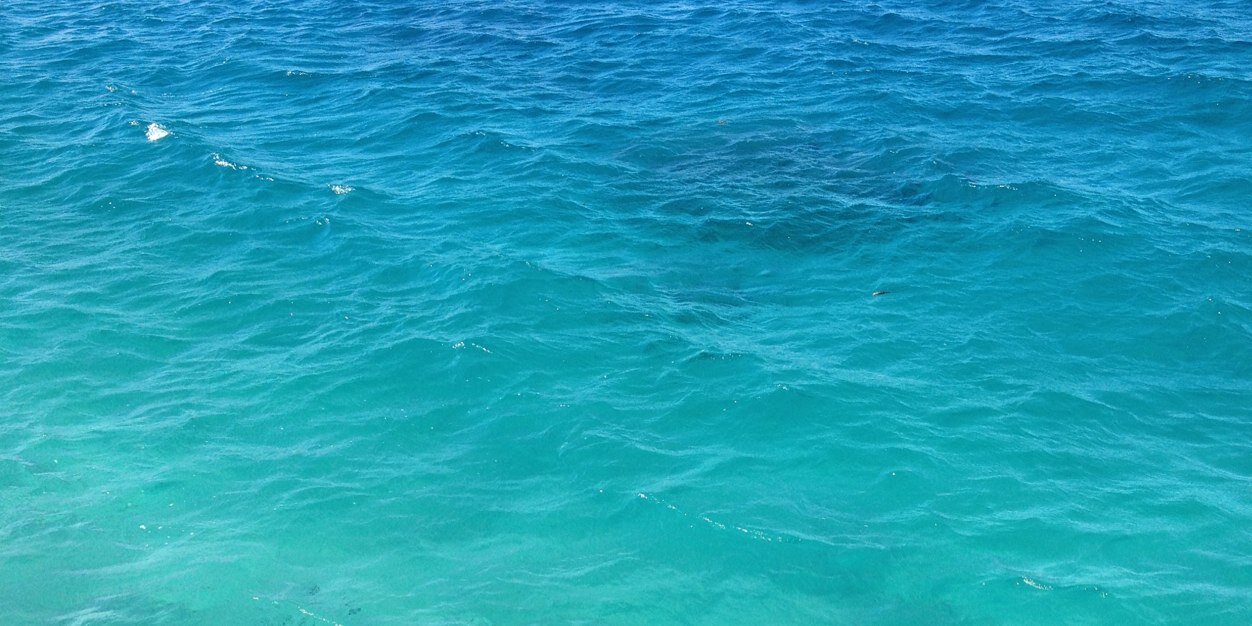 elanadweck's profile banner image