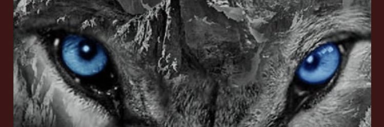 tishgulledge's profile banner image