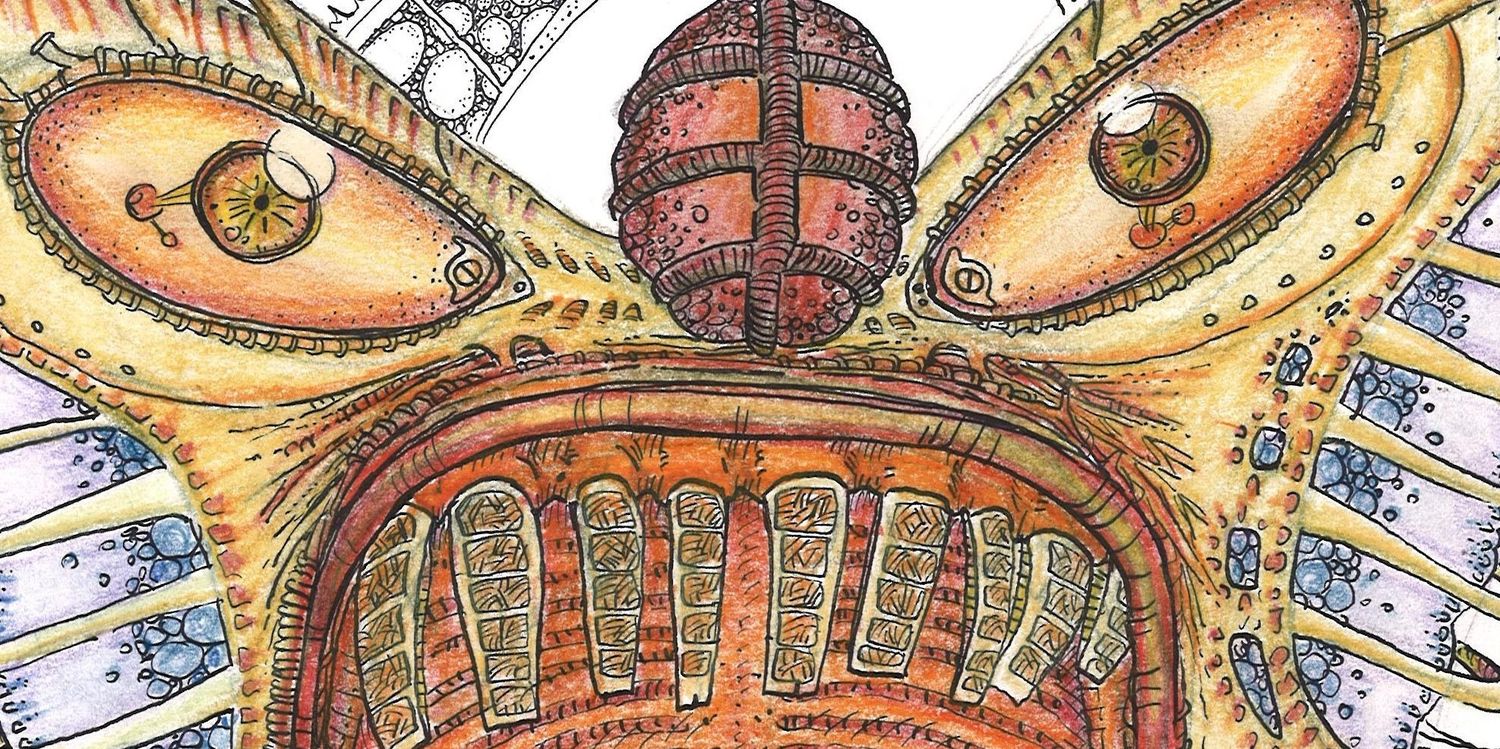 GtorresRodolfo's profile banner image