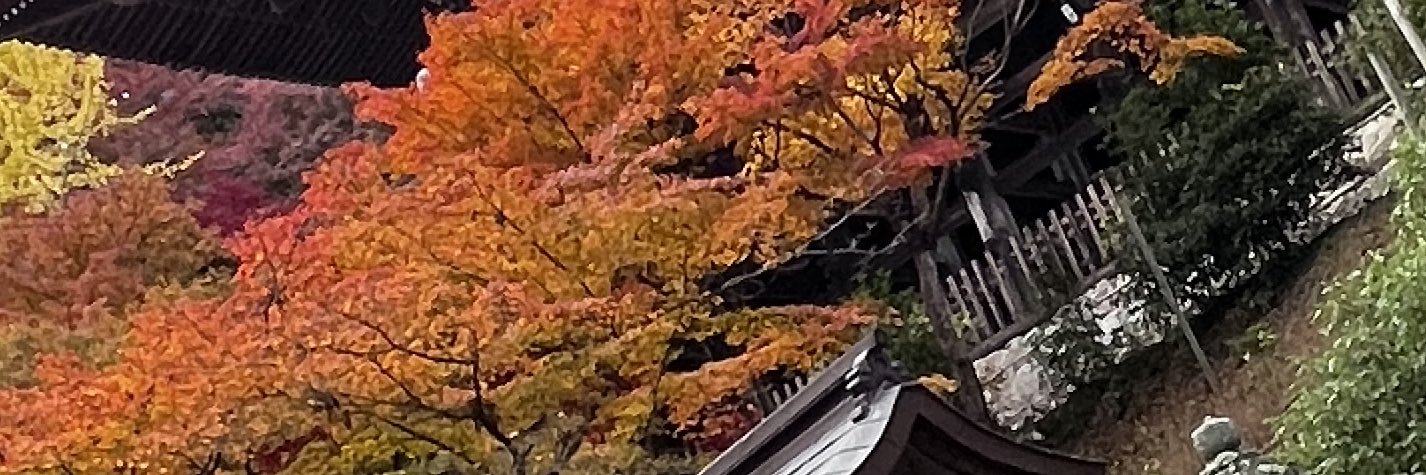 maimai2da's profile banner image