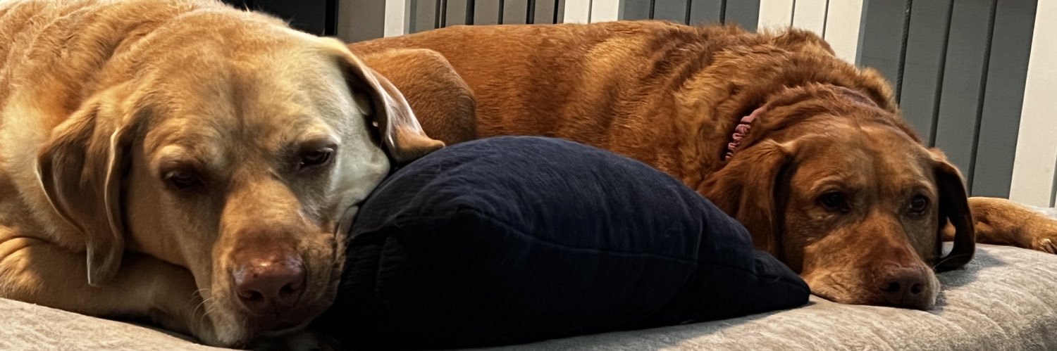 uncthomas's profile banner image