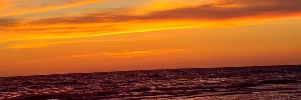 joeyswilliamson's profile banner image
