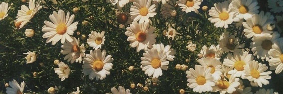 thirdeyedwitch's profile banner image
