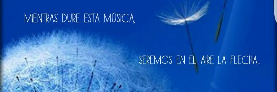 MarielaML1's profile banner image