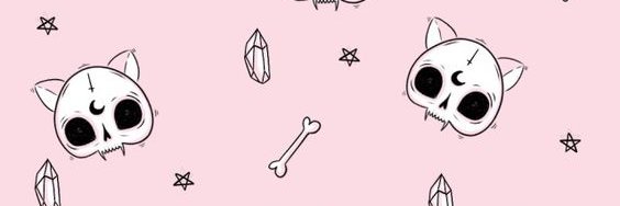 SaranaLizard's profile banner image