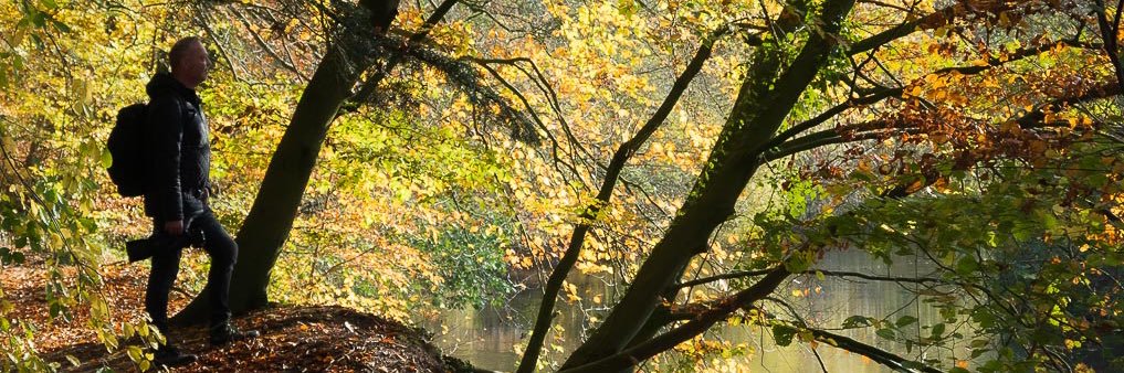 tberg_de's profile banner image