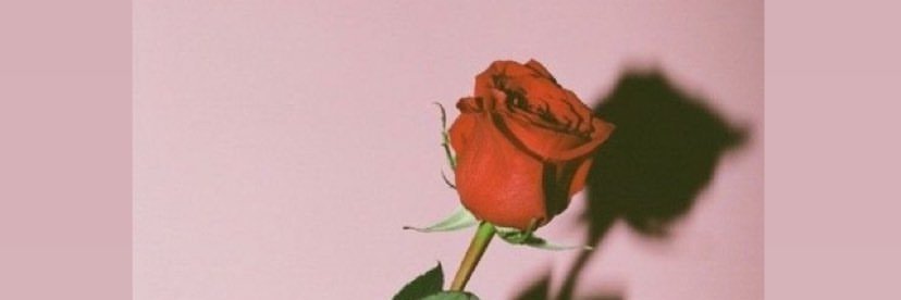 🦌🌹🥰 banner