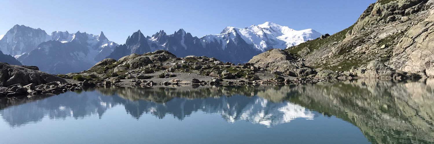 Ruth Reichstein banner