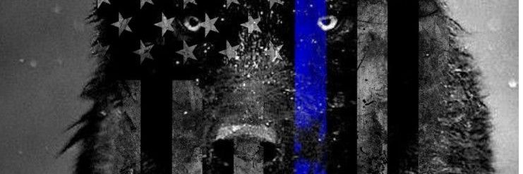 CocaNick11's profile banner image