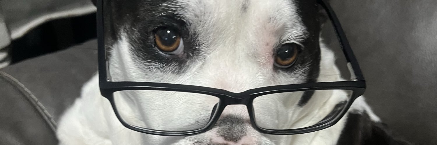 Dreadedllama14's profile banner image