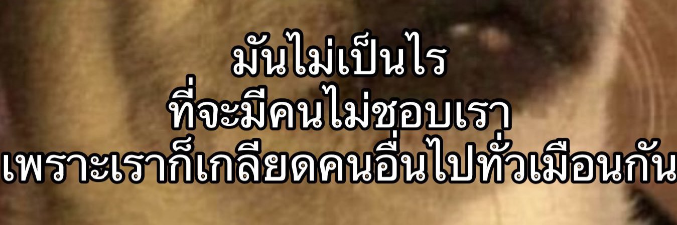 #7 낍n제님 fan acc is seeing ENHYPEN • ❀ banner